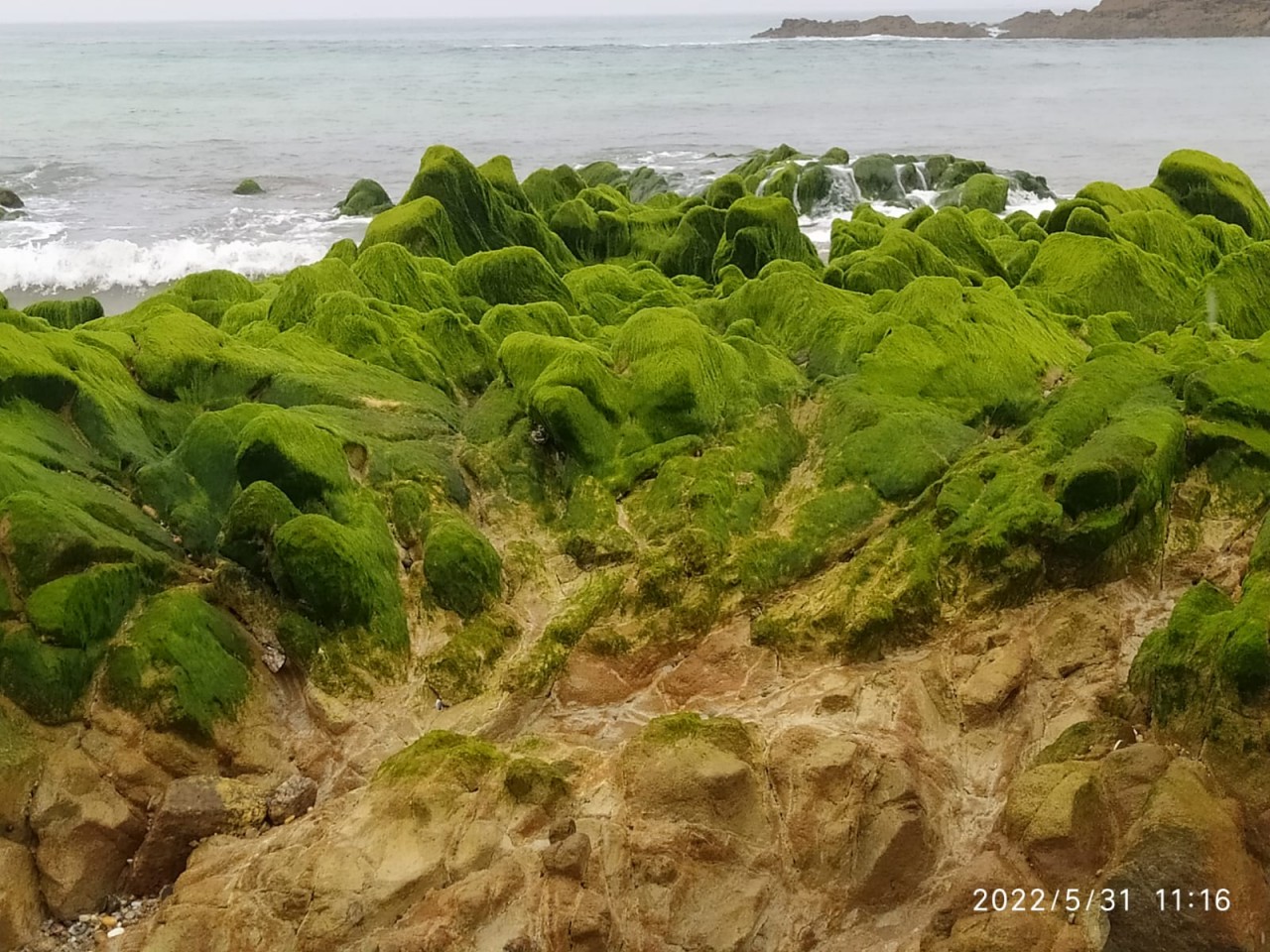 04 - Restos de un bosque fósil en la playa de Doniños - 31-05-2022
