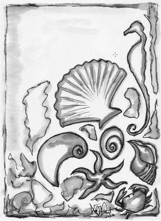 Fig. 2. As cunchas mariñas mitolóxicas