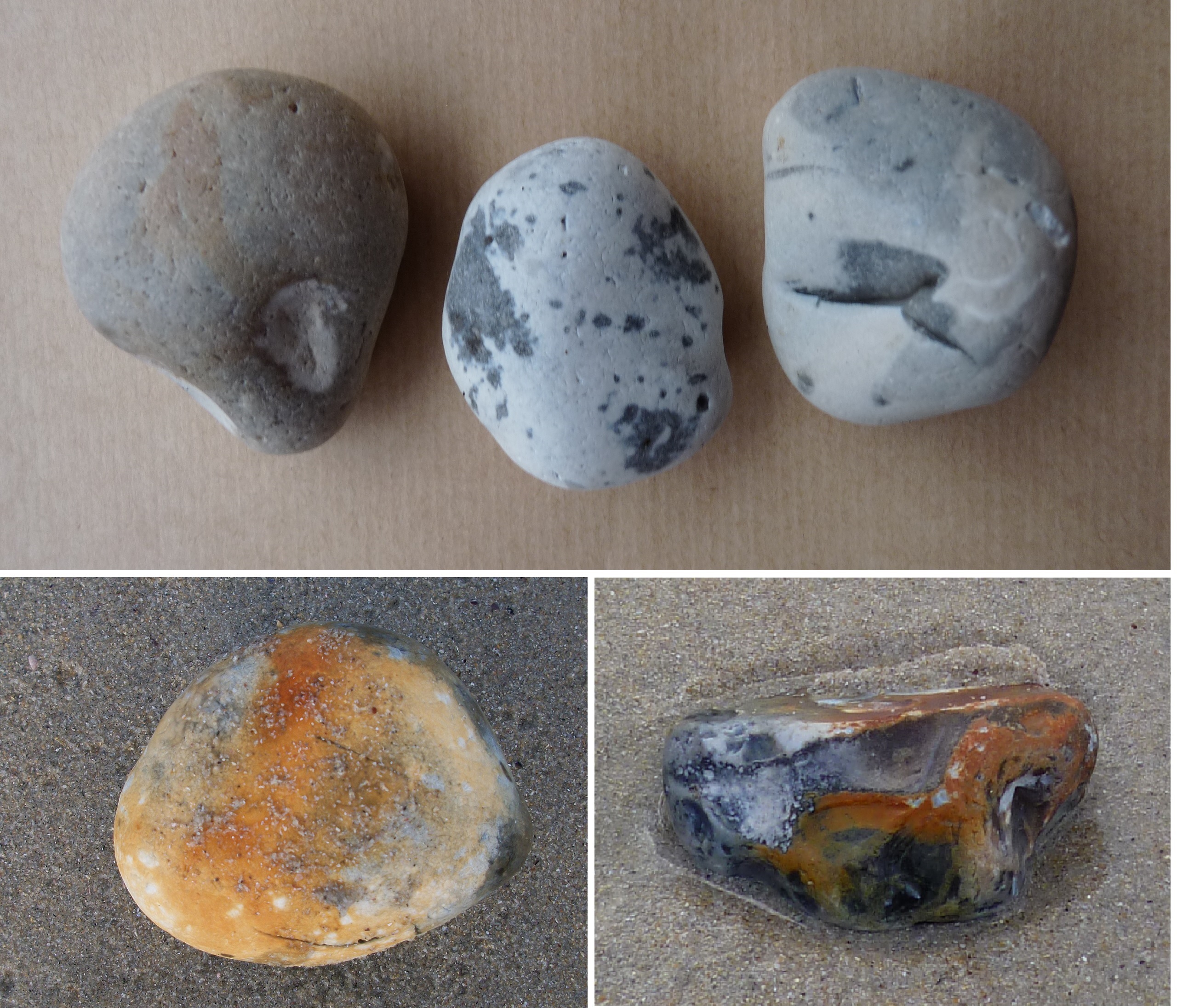 Foto 15: Piedras de sílex encontradas en el lugar donde aparecieron los restos de una embarcación (Playa de Santa Comba)