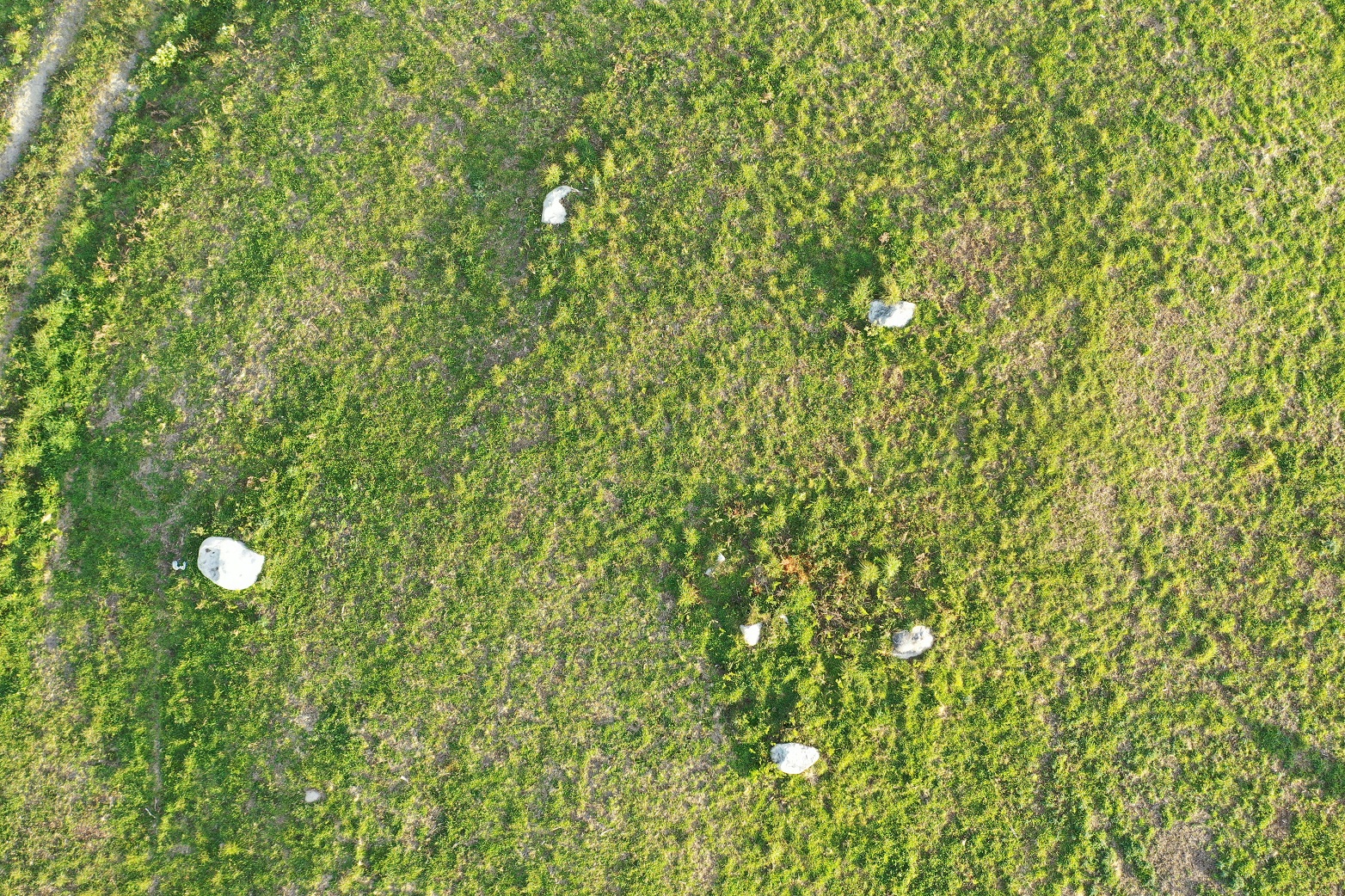 Figura 1 B. Aliñamento de cinco chantas cara a punta do Cabo Prior. Fotografía aérea con drone